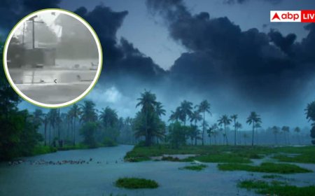 तेलंगाना में तूफान ने मचाई तबाही, पेड़ और छतों की शीटें गिरीं, IMD का अलर्ट