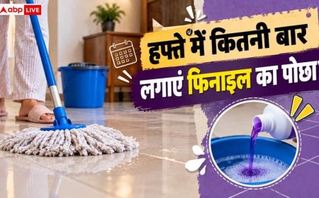 Phenyl Mopping Tips: हफ्ते में कितना बार लगाना चाहिए फिनाइल का पोछा? ये है सही तरीका