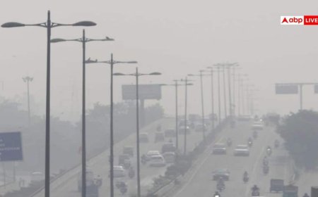 दिल्ली-NCR में प्रदूषण पर एक्शन में सरकार, निपटने के लिए बनाया ये मेगा प्लान