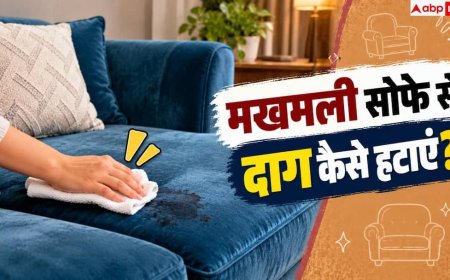 How To Clean Velvet Furniture: मखमली सोफे से दाग कैसे हटाएं? नोट करें 2 मिनट का जादुई हैक