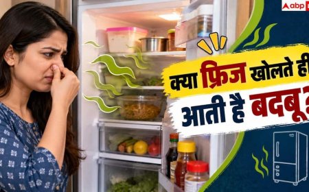 How To Remove Fridge Smell: फ्रिज से आ रही बदबू, इस ट्रिक से हो जाएगी दूर