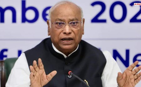 'प्री SIR वोटर लिस्ट मांगें, EVM के बजाय...', इंडिया गठबंधन के नेताओं से बोले खरगे