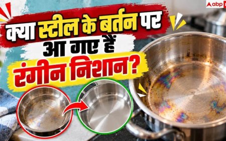 Stainless Steel Utensil Cleaning: क्या स्टील के पैन में दिख रहा है इंद्रधनुष? 1 मिनट में करें साफ