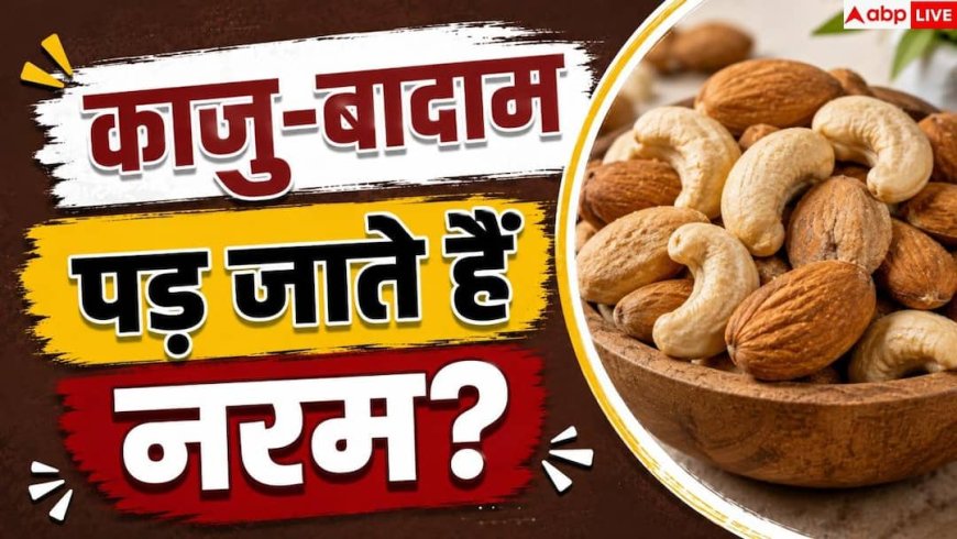 Dry Fruits Storage: काजू-बादाम पड़ जाते हैं नरम? 1 आसान ट्रिक से रहेंगे हमेशा क्रंची