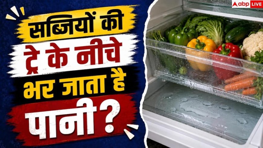Fridge Water Leakage: फ्रिज में बार-बार जमा हो रहा है पानी? मैकेनिक बुलाने से पहले करें ये काम