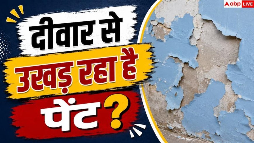 Causes Of Wall Dampness: छत नहीं टपक रही, फिर भी दीवार पर सीलन? 1 मिनट में पहचानें लीकेज की वजह
