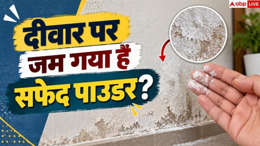 White Powder On Walls: दीवार पर जम गया है सफेद पाउडर? तुरंत जान लें सीलन की असली वजह