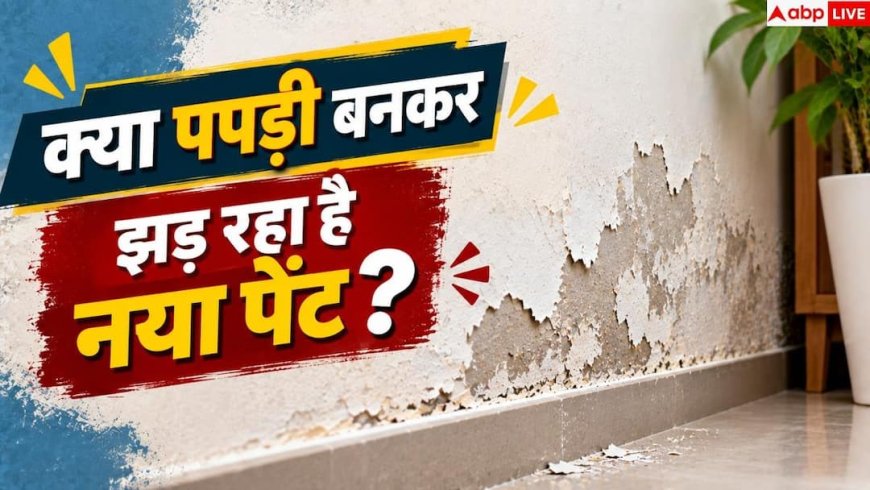 Wall Paint: पेंट फूलकर पपड़ी बनकर गिर रहा है? तुरंत अपनाएं ये उपाय