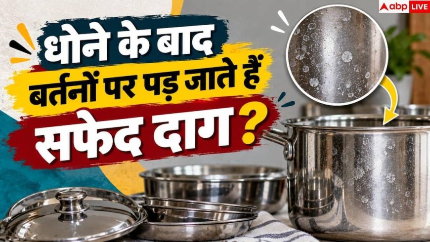 Stainless Steel: बर्तन सूखते ही क्यों पड़ जाते हैं सफेद निशान? 2 मिनट में ऐसे चमकाएं