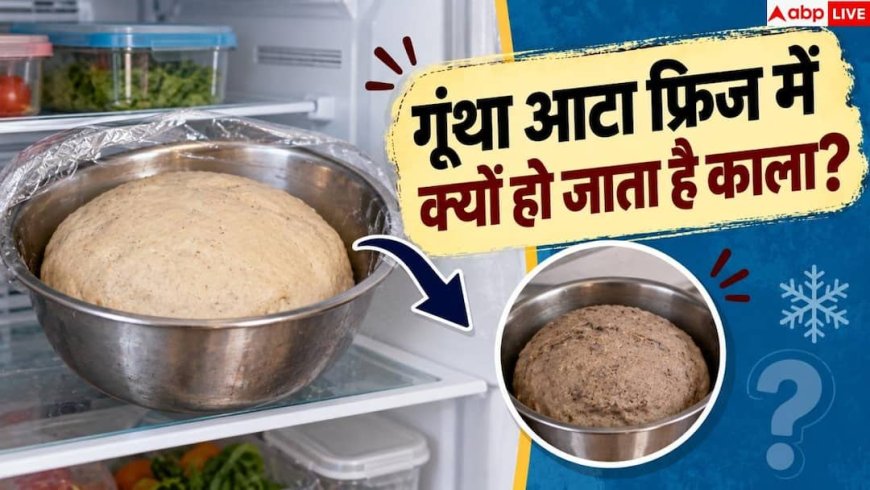 Atta Dough: फ्रिज में आटा काला पड़ क्यों हो जाता है, जानें फ्रेश रखने का सही तरीका