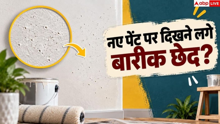Wall Paint: दीवार के नए पेंट पर दिखने लगे छोटे छेद? अपनाएं ये 3 उपाय