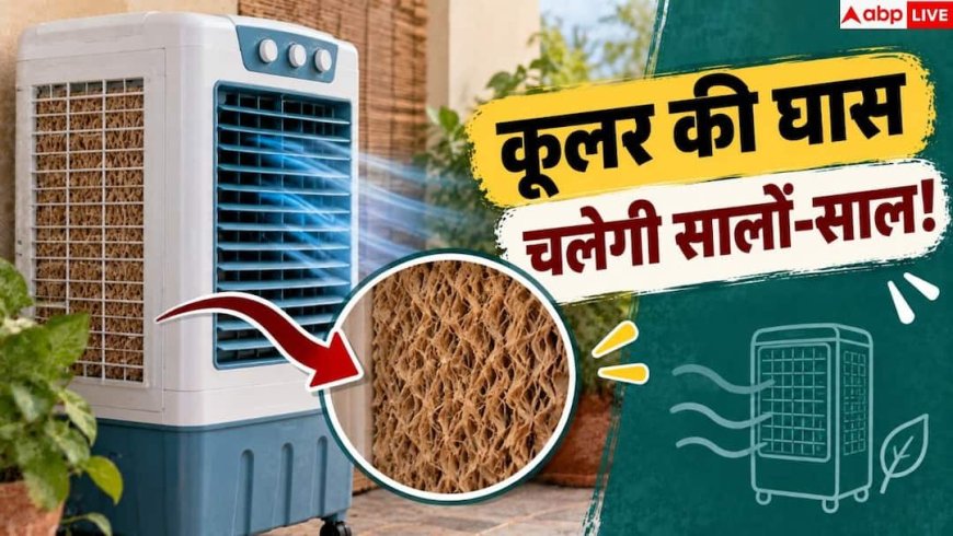 Cooler Grass Cleaning Tips: इन आसान तरीकों से बढ़ जाएगी कूलर की घास की लाइफ, कर लें ये काम