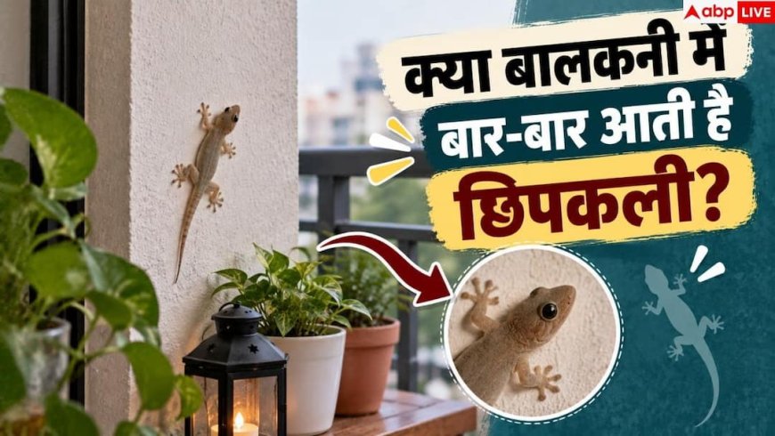 Lizard Repellent Tips: बालकनी में कभी नहीं आएगी छिपकली, ये तरीके करेंगे काम तमाम