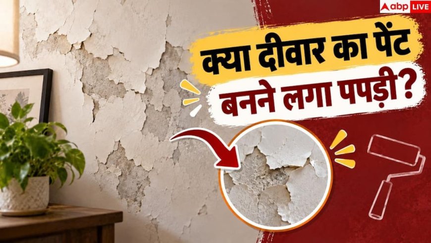 Home Waterproofing: छत की वाटरप्रूफिंग हो गई कमजोर? 1 मिनट में ऐसे पहचानें दरारें