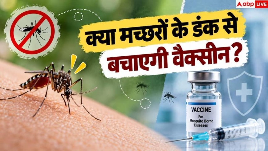 Dengue Vaccine: 2027 तक आएगी भारत की पहली डेंगू वैक्सीन, जानें यह कितनी असरदार?