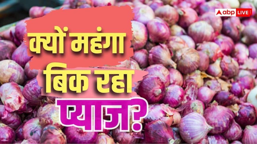 सरपट भाग रही 'कांदा एक्सप्रेस', फिर क्यों नहीं थम रहे प्याज के दाम; कब होगी सस्ती?