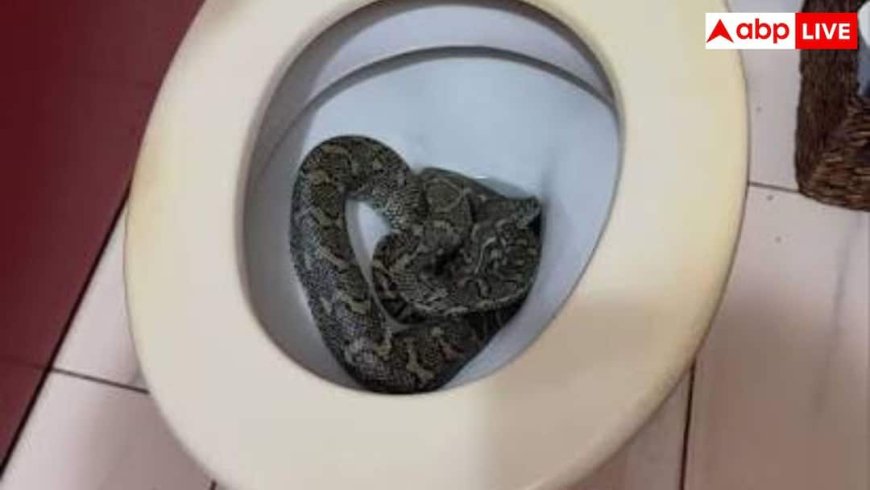 इस एक तरीके से टॉयलेट के रास्ते कभी घर में नहीं आएंगे सांप, जान लें