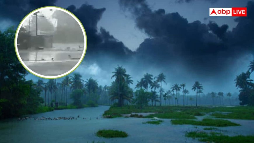 तेलंगाना में तूफान ने मचाई तबाही, पेड़ और छतों की शीटें गिरीं, IMD का अलर्ट