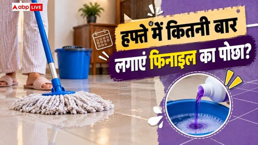 Phenyl Mopping Tips: हफ्ते में कितना बार लगाना चाहिए फिनाइल का पोछा? ये है सही तरीका