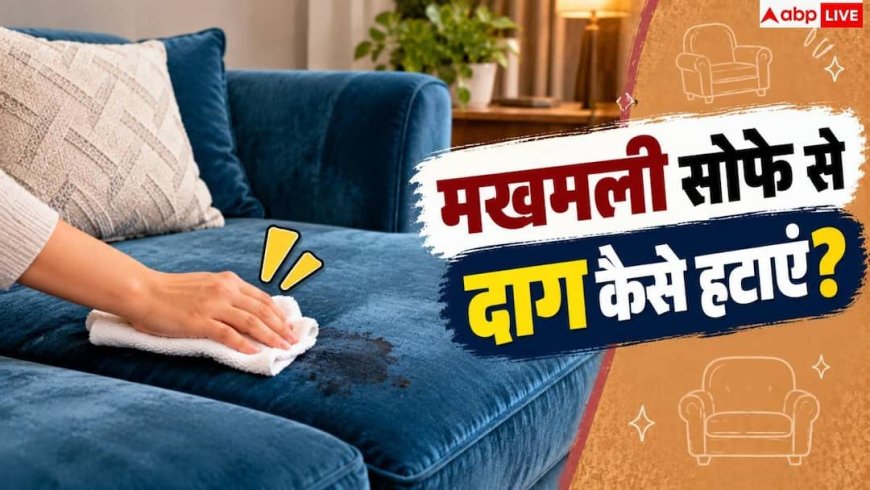 How To Clean Velvet Furniture: मखमली सोफे से दाग कैसे हटाएं? नोट करें 2 मिनट का जादुई हैक