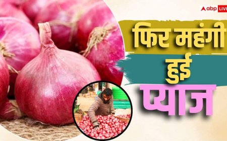 60 के पार 30 रुपये वाली प्याज, आम आदमी की रसाेई का फिर बिगड़ा बजट
