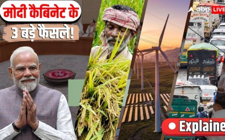 Explained: MSP, ग्रीन एनर्जी और दिल्ली ट्रैफिक! मोदी कैबिनेट के 3 फैसलों से आप पर क्या असर?