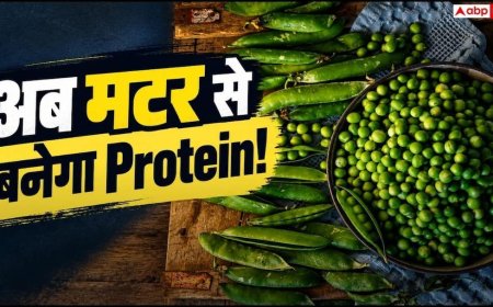 भारतीय थाली में बढ़ रहा Protein का महत्व, अब मटर से बनेगा Protein Isolate