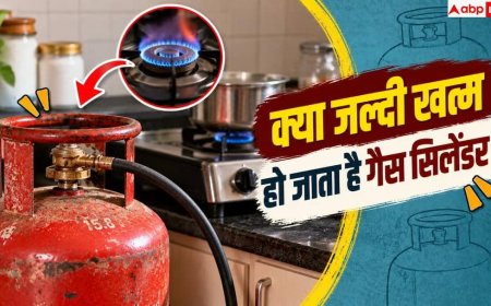 Gas Cylinder: महीनों चलेगा गैस सिलेंडर! खाना बनाते वक्त करें बस ये 1 छोटा काम
