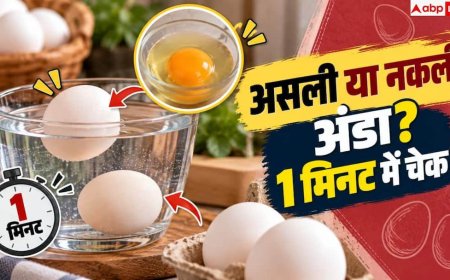 Real Egg Identification: असली और नकली अंडे की पहचान कैसे करें? नोट करें 2 मिनट का टेस्ट