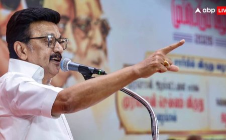 ‘TVK, भाजपा की एक शाखा...’, एमके स्टालिन का CM विजय पर हमला