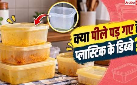 Plastic Container Cleaning: प्लास्टिक के डिब्बे से नहीं जा रहे पीले दाग? अपनाएं ये तरीके