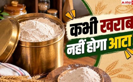 Flour Storage Tips: आटे के डिब्बे में डाल दीजिए ये चीज, महीनों तक नहीं लगेंगे घुन और कीड़े