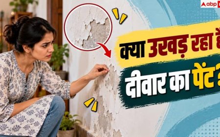 How To Fix Peeling Paint: दीवार पर कैलेंडर या पोस्टर लगाने से पेंट उखड़ जाता है? ऐसे बचाएं दीवार