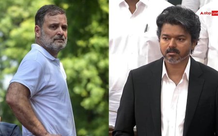 'विजय से डरते हैं राहुल गांधी इसलिए...', इंडिया गठबंधन के प्रदर्शन पर भड़की DMK
