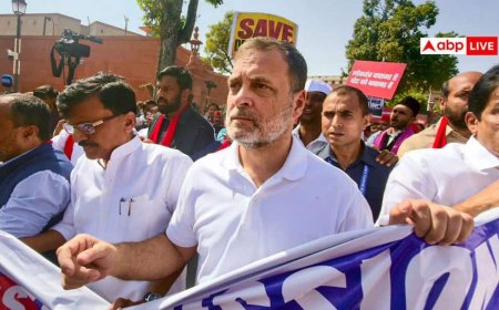 राहुल गांधी पर DMK ने बदले सुर, विरोध मार्च को दिया समर्थन, कहा - 'यह एकदम...'