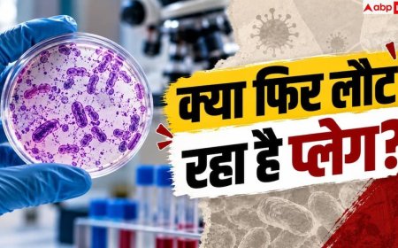 Plague Bacteria: कितने कम तापमान पर भी जिंदा रहता है प्लेग का वायरस, कितनी बार हुआ म्यूटेट?