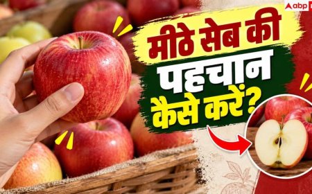 Tips For Buying Apples: सेब मीठा है या नहीं, खरीदने से पहले ऐसे करें चेक