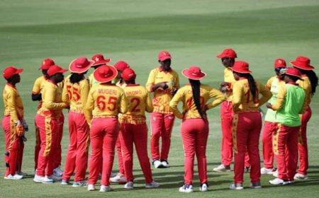 जिम्बाब्वे ने भारत दौरे के लिए किया टीम का ऐलान, 16 अक्टूबर को पहला मैच