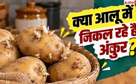 How To Store Potatoes: आलू में निकलने लगे हैं अंकुर? महीनों तक ताजा रखने के आसान हैक्स