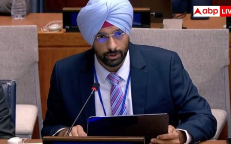 कौन है अनमोल सिंह? जिन्होंने IAS छोड़ चुना IFS, UN में दिया पाकिस्तान को जवाब