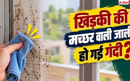 Mosquito Net Cleaning: खिड़की की मच्छर वाली जाली में जम गई धूल? बिना मेहनत ऐसे हो जाएगी साफ