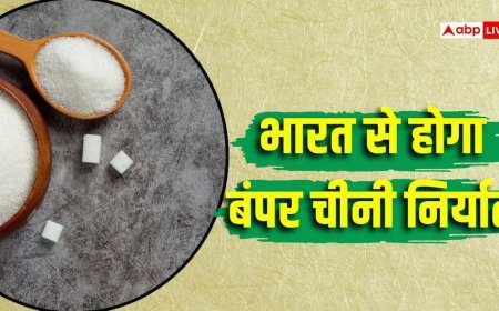 5841 टन चीनी निर्यात को सरकार की मंजूरी, अब किस की किस्मत चमकेगी?