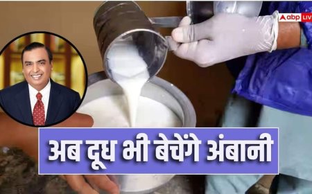 20 रुपए में दूध, अंबानी की डेयरी बिजनेस में एंट्री, अमूल को मिलेगी टक्कर!