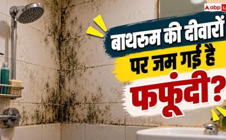 Bathroom Wall Mold: बाथरूम की दीवारों पर जम गई है फफूंदी? इसे ऐसे करें ठीक