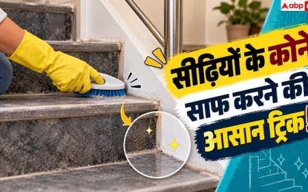 Dust Removal Tips: सीढ़ियों के कोने कैसे चमकाएं? नोट करें सफाई का 2 मिनट का हैक