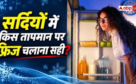 सर्दियों में कितने टेंपरेचर पर चलाना चाहिए फ्रिज? बहुत से लोग नहीं जानते सही नंबर