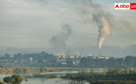 हवा में घुले PM2.5 बढ़ा सकते हैं अस्पताल जाने का खतरा, 21 दिन तक असर