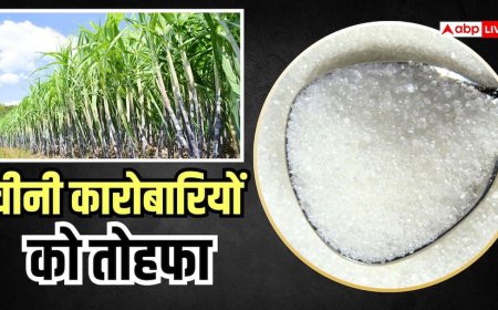चीनी के दाम घटेंगे? सरकार ने 31 दिसंबर तक बढ़ाया ड्यूटी फ्री इम्पोर्ट