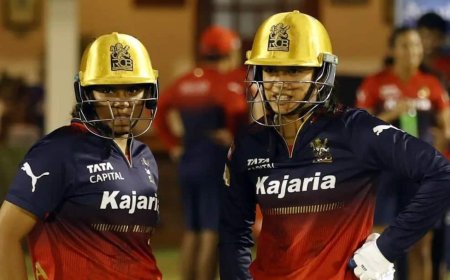 महज 30 साल की उम्र में भारतीय क्रिकेटर ने लिया संन्यास, RCB के लिए भी खेला