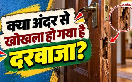 Early Signs Of Termites: लकड़ी का दरवाजा खा रही है दीमक? नोट करें पहचान के 5 शुरुआती संकेत